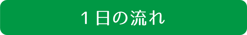 一日の流れ