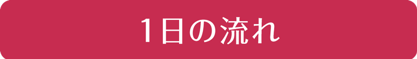 一日の流れ